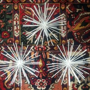 Decorative Wall "Sea Urchins"